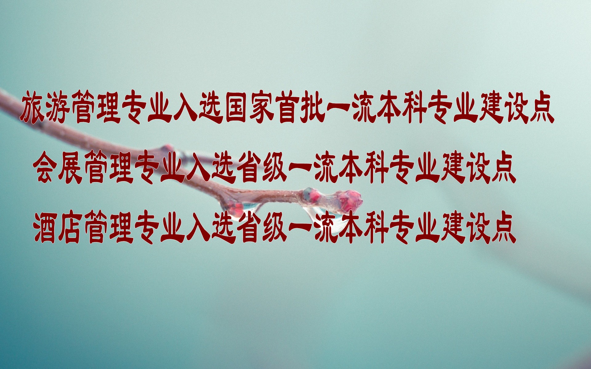 澳门美高梅官网